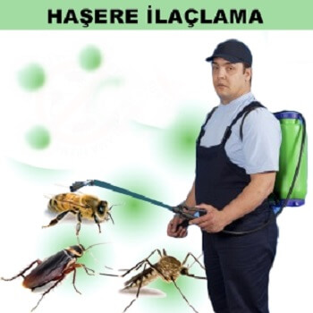 Köse Böcek İlaçlama